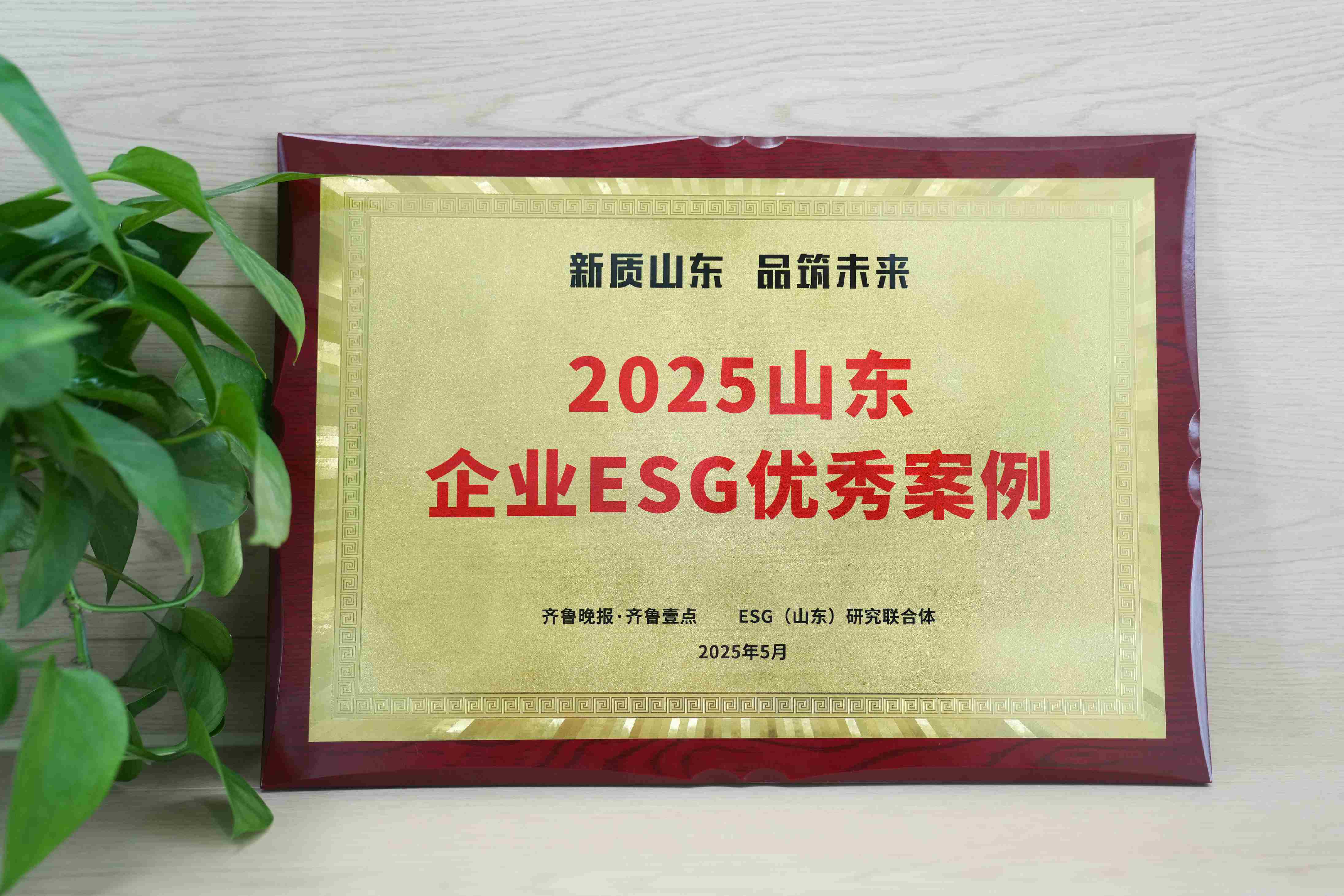 英科医疗入选2025山东企业ESG优秀案例